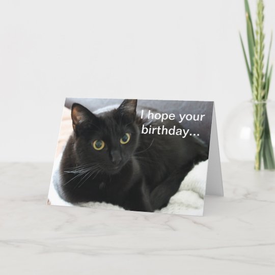 誕生日の黒猫 カード Zazzle Co Jp 誕生日の黒猫 カード Zazzle Co Jp
