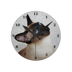 シャム 猫壁時計  Zazzle.co.jp