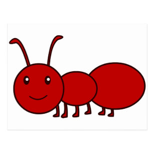 赤い 蟻ポストカード Zazzle Co Jp
