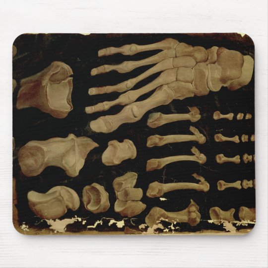 足の骨の解剖スケッチ マウスパッド Zazzle Co Jp