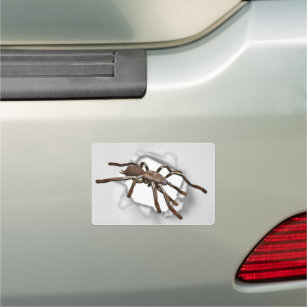 蜘蛛バンパーステッカー カーマグネット Zazzle Co Jp
