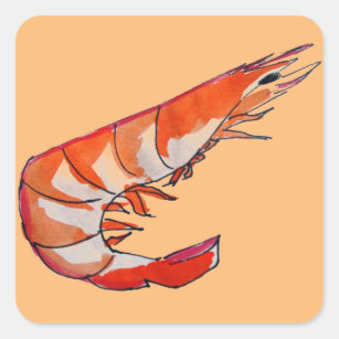 車海老 海老シール Zazzle Co Jp