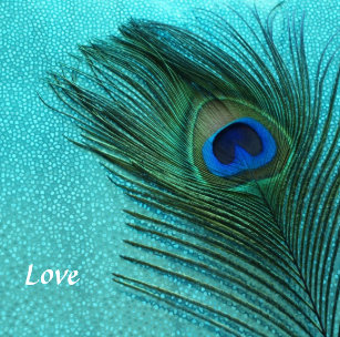 撮影 水 青 孔雀 羽 クジャク カラフル 鳥 動物ギフト ギフトアイデア Zazzle Co Jp 撮影 水 青 孔雀 羽 クジャク カラフル 鳥 動物ギフト ギフトアイデア Zazzle Co Jp