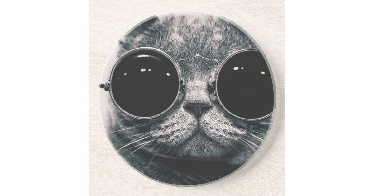 陰とのクールな猫かっこいいkat コースター Zazzle Co Jp 陰とのクールな猫かっこいいkat コースター Zazzle Co Jp
