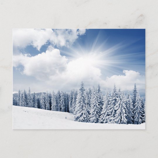 雪との美しい冬の景色 ポストカード Zazzle Co Jp