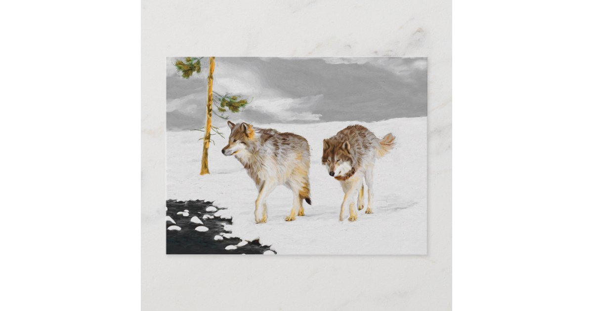 雪の中の狼 オリジナル野絵画生動物アート ポストカード Zazzle Co Jp