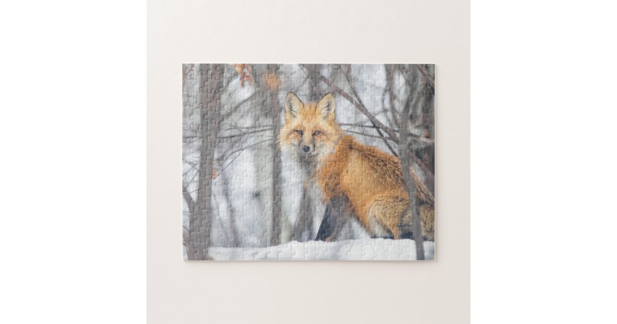 雪の多い森の冬の野生生物赤キツネ狩り ジグソーパズル Zazzle Co Jp 雪の多い森の冬の野生生物赤キツネ狩り ジグソーパズル Zazzle Co Jp
