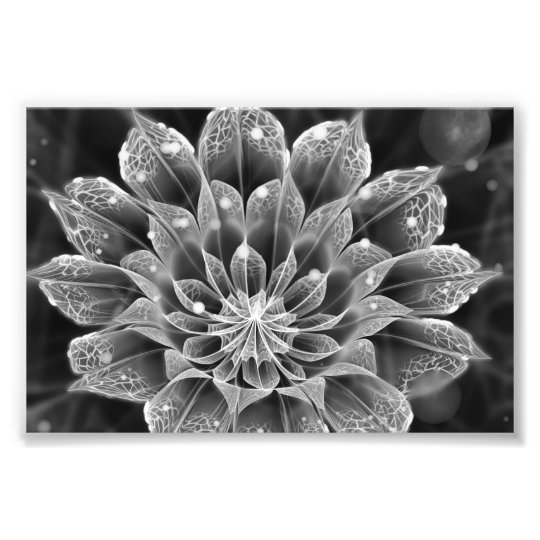 電子顕微鏡でのbnwのフラクタルのダリアの花 フォトプリント Zazzle Co Jp