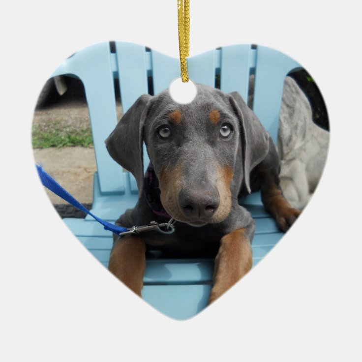 青いドーベルマン犬の目 セラミックオーナメント Zazzle Co Jp