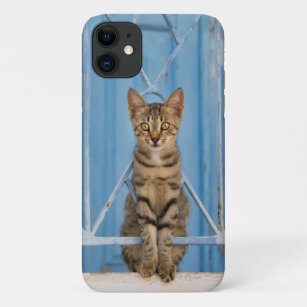 ヤン 猫エレクトロニクス Zazzle Co Jp