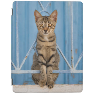 ヤン 猫エレクトロニクス Zazzle Co Jp