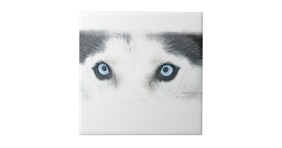 青い目の犬は風を見ることができます タイル Zazzle Co Jp 青い目の犬は風を見ることができます タイル Zazzle Co Jp