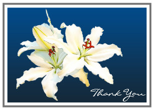 青い ユリグリーティングカード Zazzle Co Jp