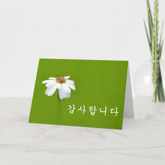 韓国語でありがとう ホワイトデイジー サンキューカード Zazzle Co Jp