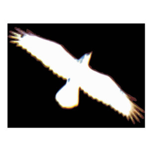 飛ぶ 鳥ポストカード Zazzle Co Jp