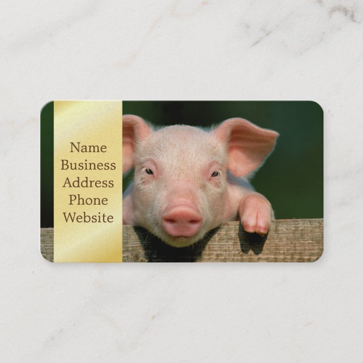 養豚場 ブタの顔 名刺 Zazzle Co Jp