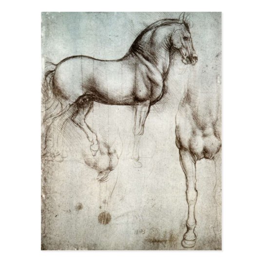 馬の勉強 レオナルド ダ ヴィンチ ポストカード Zazzle Co Jp