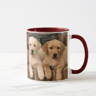 犬 犬 犬 黄色い 子犬マグカップ Zazzle Co Jp