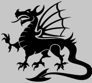 黒い ドラゴンアパレル Zazzle Co Jp 黒い ドラゴンアパレル Zazzle Co Jp