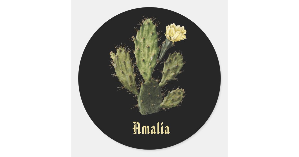 黒いステッカーを引出す一流のサボテンの花のヴィンテージ ラウンドシール Zazzle Co Jp