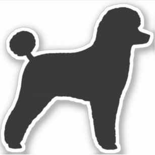 ミニチュア プードルラップトップケース Zazzle Co Jp ミニチュア プードルラップトップケース Zazzle Co Jp