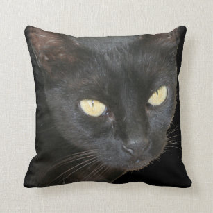 黒 猫 顔クッションu0026ピロー  Zazzle.co.jp