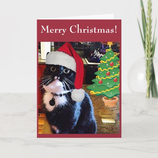 黒猫 Oクリスマスツリー のカード シーズンカード Zazzle Co Jp