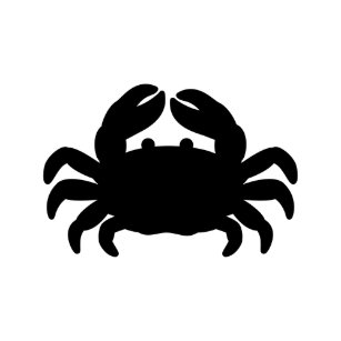 海 カニキャンバスアート プリント Zazzle Co Jp 海 カニキャンバスアート プリント Zazzle Co Jp