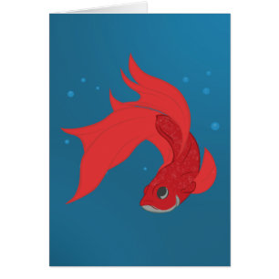 Β魚