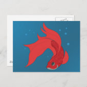 Β魚 ポストカード (正面/裏面)