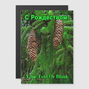 С Рождеством – コーンとニードル