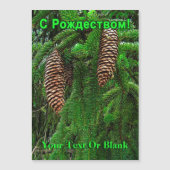 С Рождеством – コーンとニードル (正面)