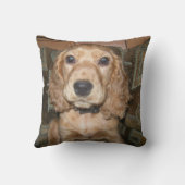 Сocker クッション (裏面)