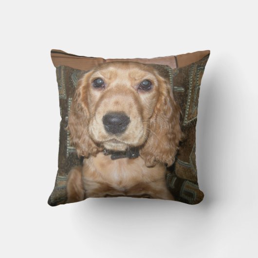 Сocker クッション (裏面)