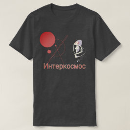 ирнтP Tシャツ