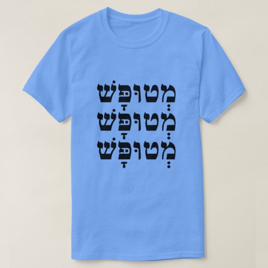 מְוּヘטブライ語で愚か。 Tシャツ (デザイン正面)
