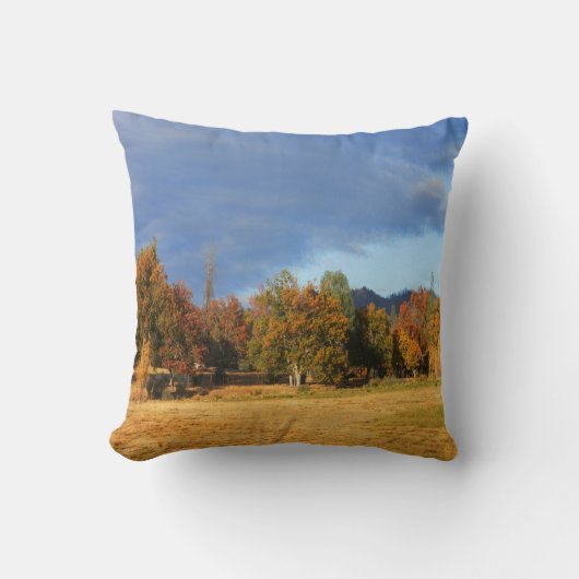 あぁ秋の色は… クッション (正面)