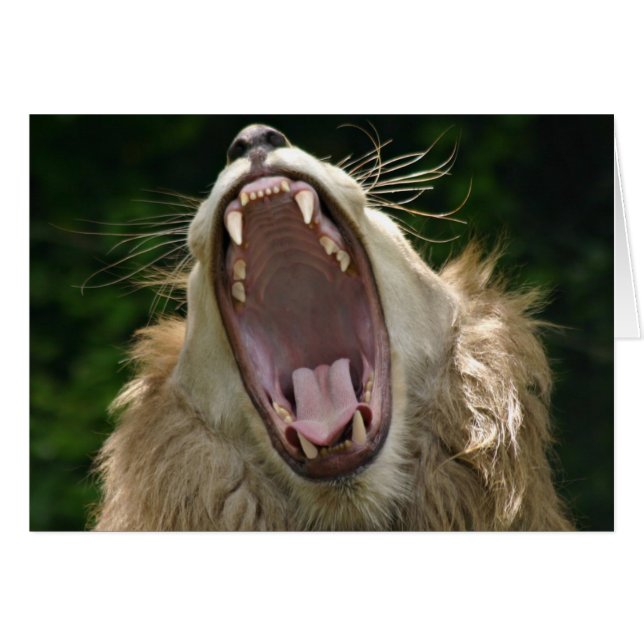 あぁ言う (正面横)