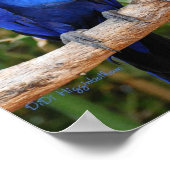 あぁ~あそこだ ポスター (角)