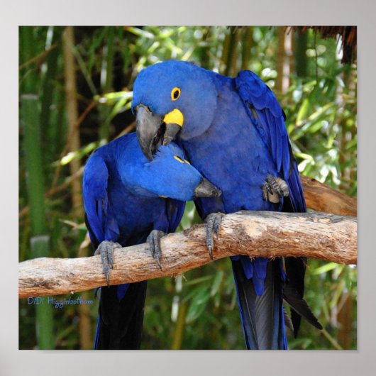 あぁ~あそこだ ポスター (正面)