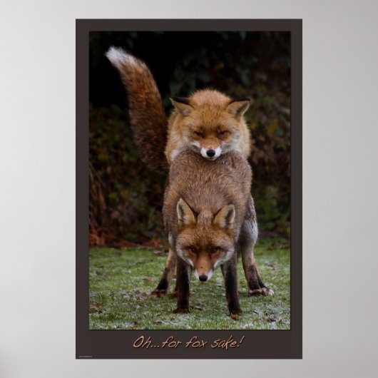 あぁ…キツネ ポスター (正面)