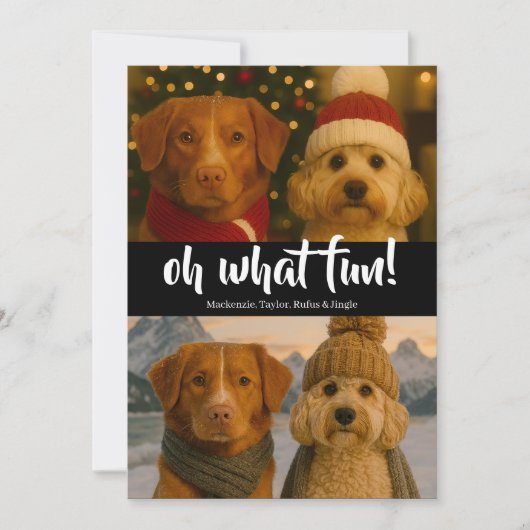 ああおもしろい写真クリスマスパーソナライズされた シーズンカード (正面)