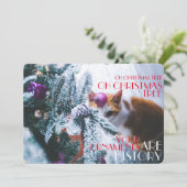 ああクリスマスツリーあなたのオーナメントは歴史の猫 シーズンカード (スタンド正面)