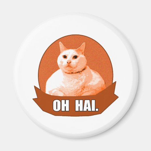 ああハイ。 マグネット (正面)