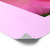 ああピンク！ ポスター (角)