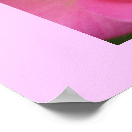 ああピンク！ ポスター (角)