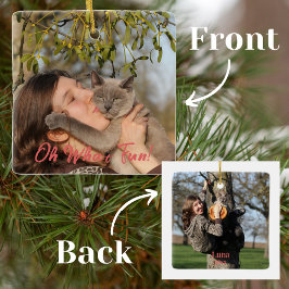 ああ何おもしろいおもしろいペット セラミックオーナメント