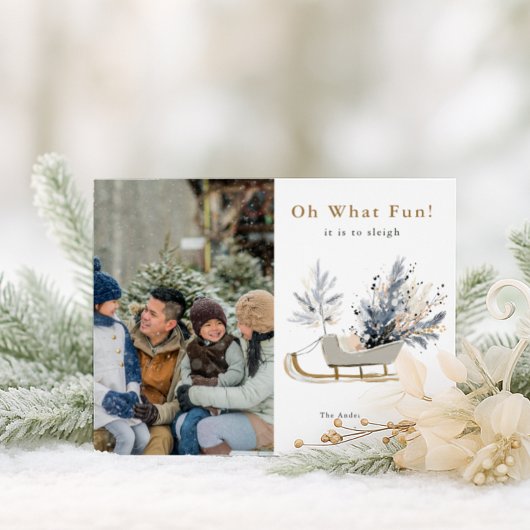 ああ何おもしろいそり乗り写真クリスマス シーズンポストカード