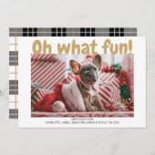 ああ何おもしろい型はっきりした格子模様クリスマスカード シーズンカード (正面/裏面)