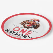 ああ何がおもしろいカリカティターキー1日の誕生日 ペーパープレート (アングル)